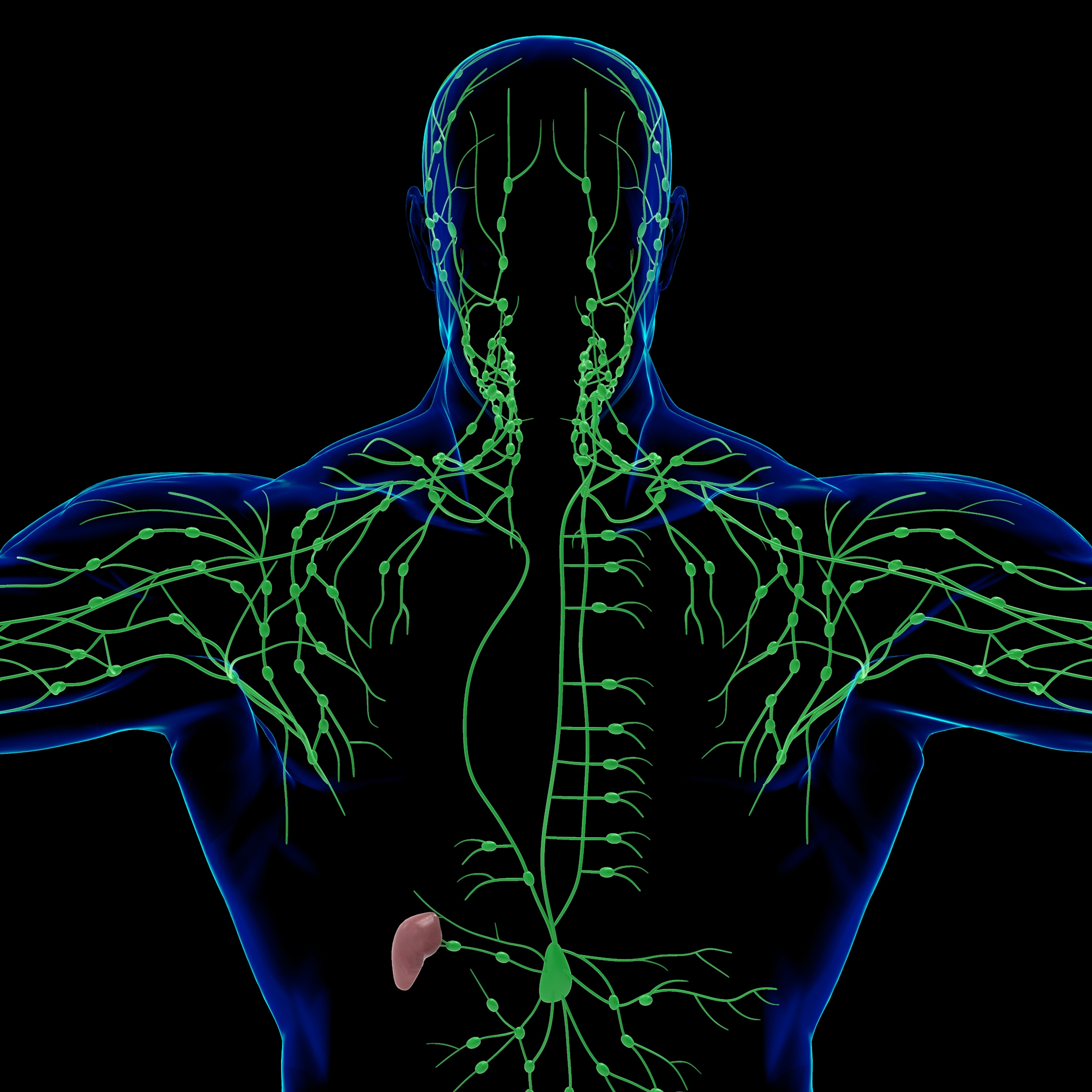 Detecting And Treating Cancer Of The Lymph Nodes Mcleod Health