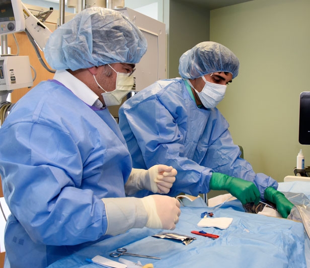 Family Medicine Residency McLeod Health