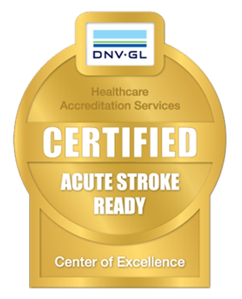 A logo symbolizing McLeod Health being named an Acute Stroke Ready Stroke center of excellence by DNV GL Healthcare