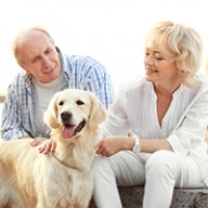 An older man and woman sitting down and petting a dog